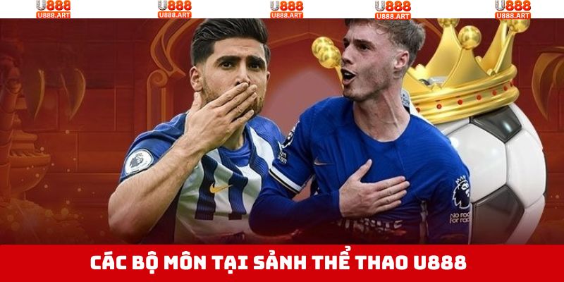 Những bộ môn cá cược thể thao hấp dẫn tại sân chơi 