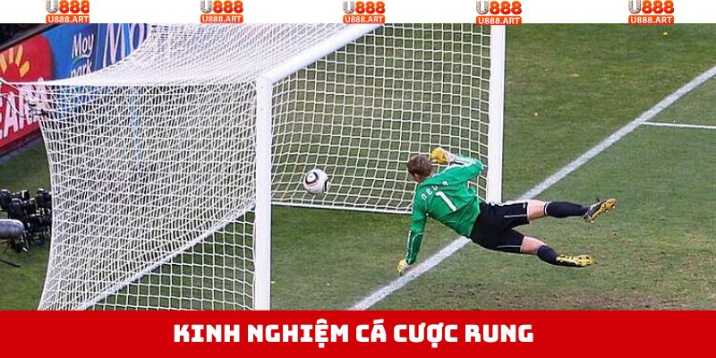 Sử dụng cược rung thành công khi áp dụng những mẹo hay