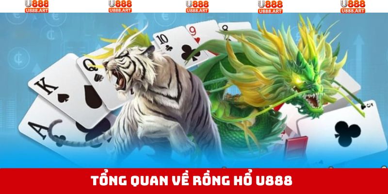 Tổng quát về rồng hổ U888